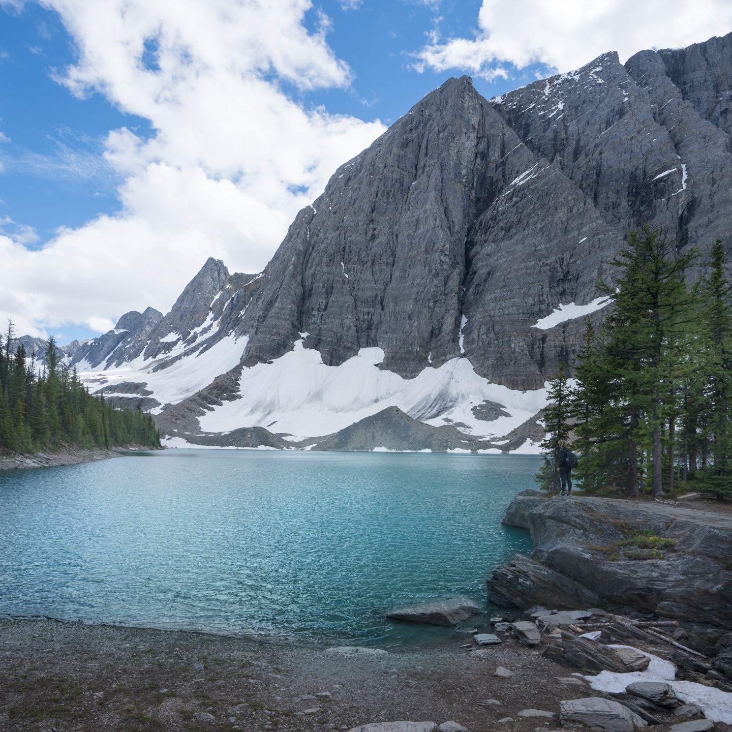 Floe lake kootenay national park sale