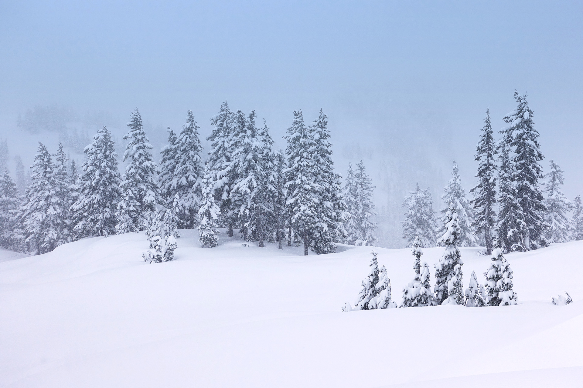 WanderingAway Snowshoeing Artist Point At Mt Baker