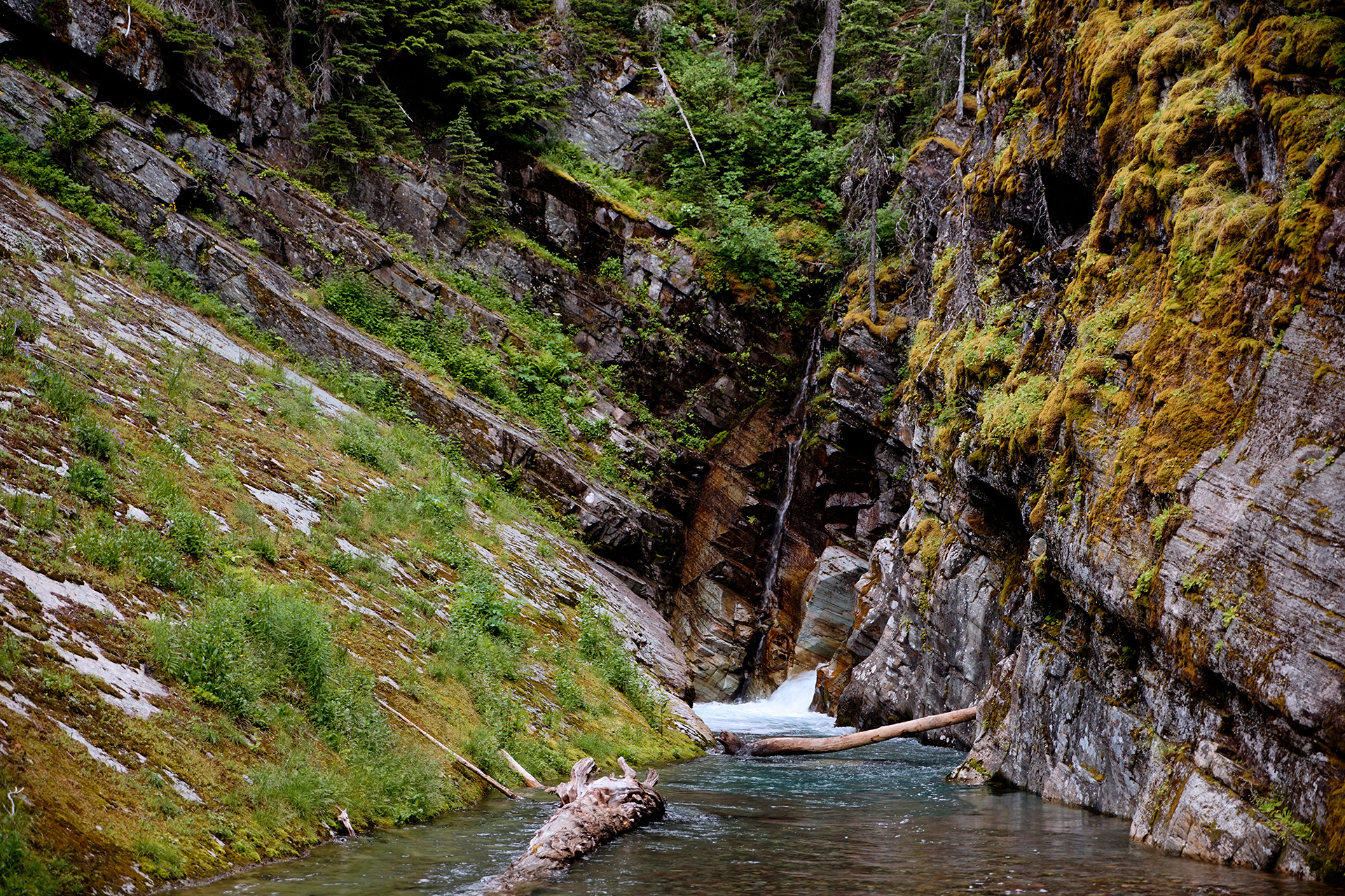 WanderingAway.com : A Trip to Glacier National Park