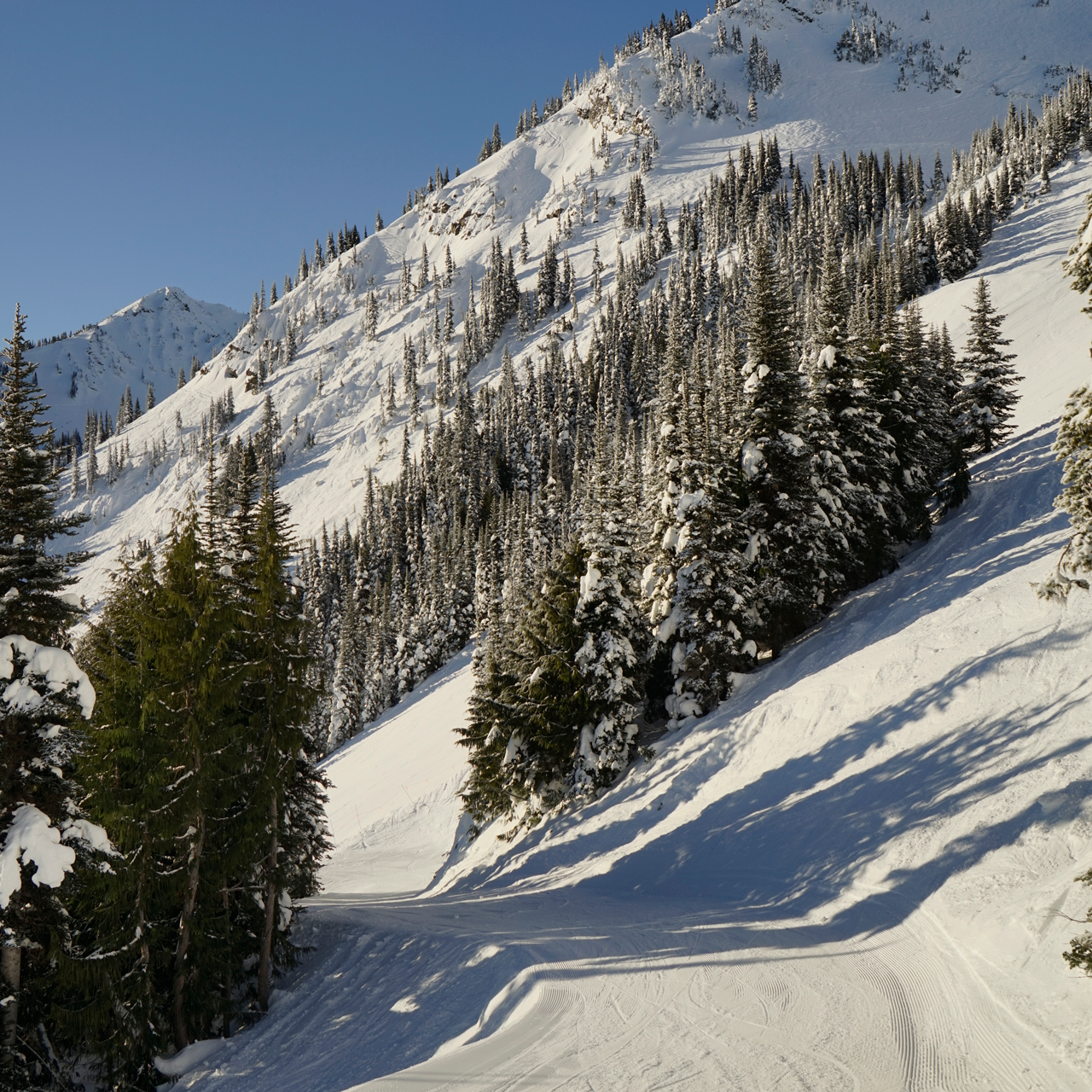 WanderingAway.com : Skiing Crystal Mountain